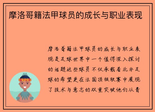 摩洛哥籍法甲球员的成长与职业表现